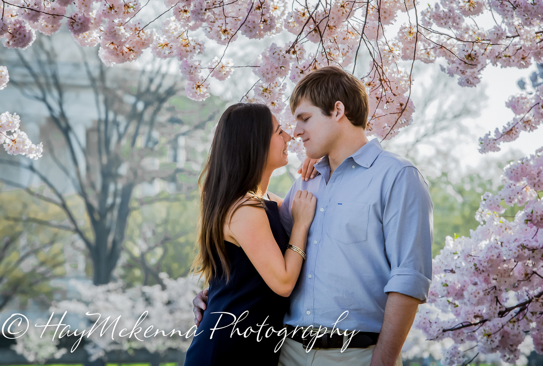 Cherry Blossom Engagement 02