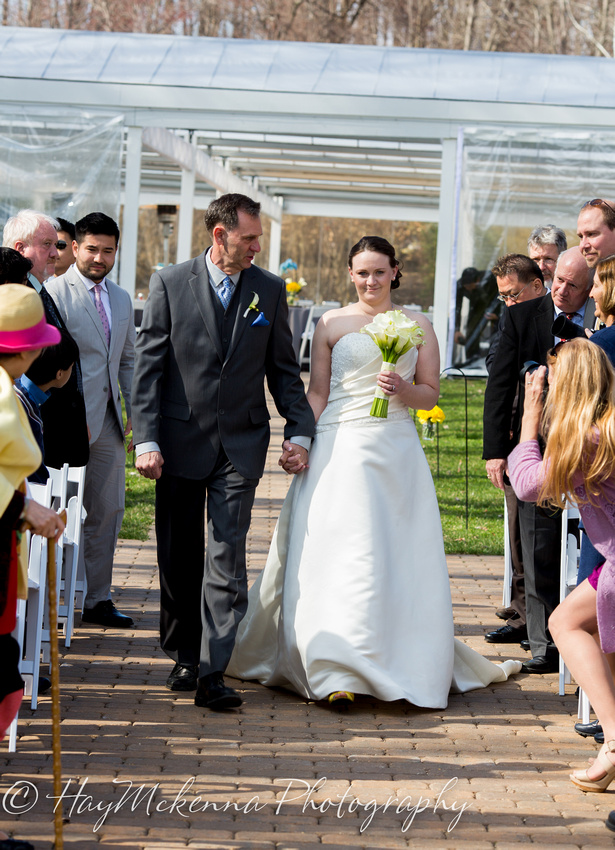 Shade Tress and Evergreens Wedding 144